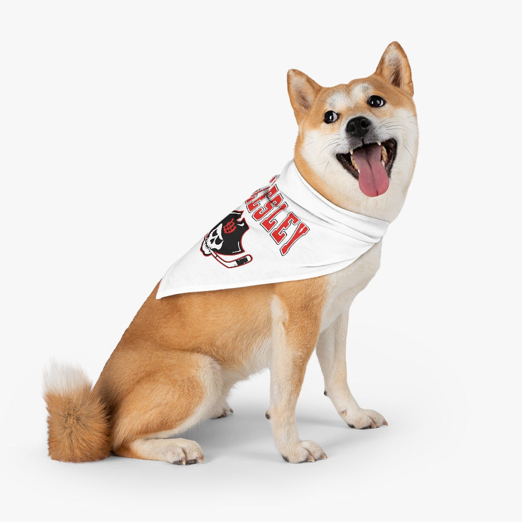 SAN FRANCISCO 49ERS HOME & AWAY PET BANDANA SET – JR'S SPORTS