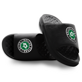 Dallas Stars Elite Motive iSlides