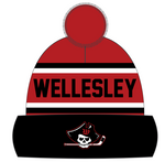 Wellesley Custom Pom Pom Beanie SALE