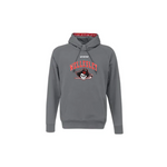 Wellesley CCM Team Fleece Pullover Hoodie