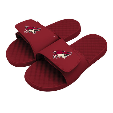 Arizona Coyotes Primary