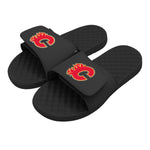 Calgary Flames Primary