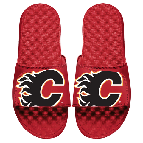 Calgary Flames Blown Up