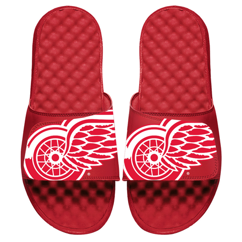 Detroit Red Wings Blown Up