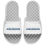 Icehawks Slides